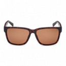 Gafas de Sol TB9335-H 52H  TIMBERLAND