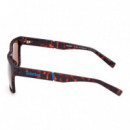 Gafas de Sol TB9335-H 52H  TIMBERLAND