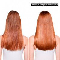 Mascarilla Reparadora sin Aclarado, Apto para Todo Tipo de Cabello Dañado  LOREAL PROFESSIONNEL