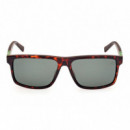 Gafas de Sol TB00008 52R  TIMBERLAND