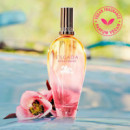 Brisa Cubana - Edición Limitada  ESCADA