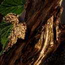 Bottled  Absolu  HUGO BOSS