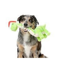 FUZZYARD Perro Juguete Lit-a-saurus