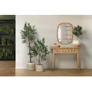 Arbol Olivo 160CM  PÉREZ ÁVILA