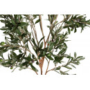 Arbol Olivo 160CM  PÉREZ ÁVILA