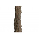 Arbol Olivo 160CM  PÉREZ ÁVILA