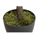 Arbol Olivo 160CM  PÉREZ ÁVILA