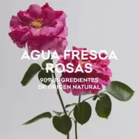 Agua Fresca de Rosas  ADOLFO DOMINGUEZ