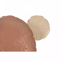 Adorno Pared Metal  PÉREZ ÁVILA