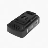 NEWELL Cargador 2 Baterias V-mount