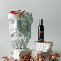 Incense Avignon Series 3  COMME DES GARÇONS