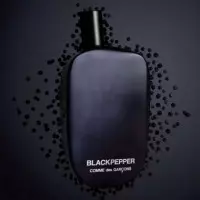 Blackpepper  COMME DES GARÇONS