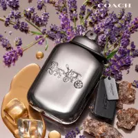 Pure Platinum  COACH