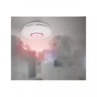 ALECTO Combo Detector de Humo y Monoxido de Carbono Alarm SCA-10 HOG093