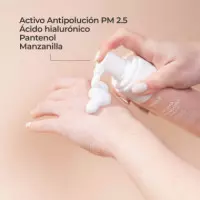 SEGLE Espuma Limpiadora