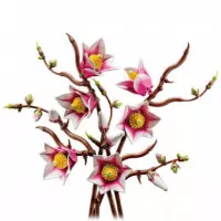 LEGO 11510 Magnolia Branches