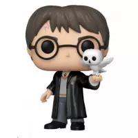 FUNKO Pop Harry Potter con Hedwig  Edición Especial 197