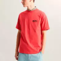 Camiseta Double Standard  VANS