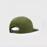 Gorra DICKIES Dellroy 5 panel