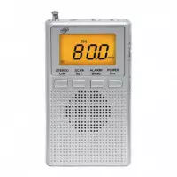 Radio Doble Banda Am/fm Gris LARRYHOUSE