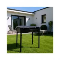 ALGON AG-3843231 BARBACOA HIERRO CON PATAS 45X25CM