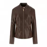 Claudine Biker Dark Coffee  GUESS