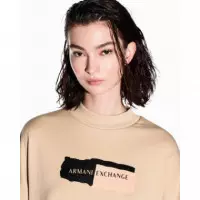 Sweatshirt Desert Breeze  AF24312  ARMANI EXCHANGE