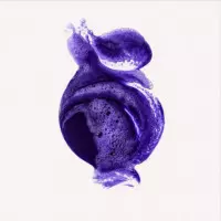 Nº.4P Blonde Enhancer
Champú Tonificante