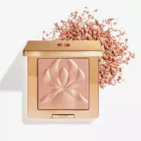 L'orchidée Highlighter
gel en Polvo Iluminador  SISLEY