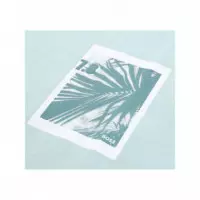 BOSS - Te_board - 446 - 50561853/446