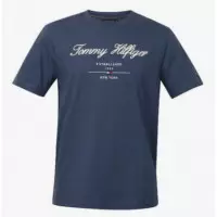 TOMMY HILFIGER - Script Logo Tee - Dbz - F|MW0MW33691/DBZ