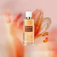 Plaisir Gourmand  KORLOFF