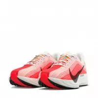 Zapatillas Pegasus Plus  NIKE