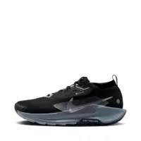 Zapatillas Pegasus Trail 5 Gore-tex  NIKE