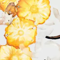 Silky Coconut  CALVIN KLEIN