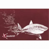 Camiseta Bio Tiburon Buceador Mujer  KANUMERA