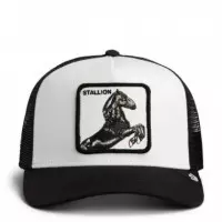 Gorra Stallion  GOORIN BROS