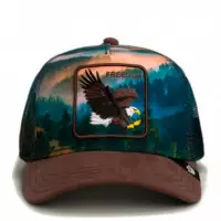 Gorra Eagle In The Element  GOORIN BROS