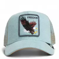 Gorra Eagle Light  GOORIN BROS