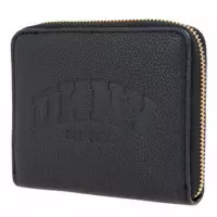 Cartera Hadlee Sm Zip Around R541AO38  DKNY