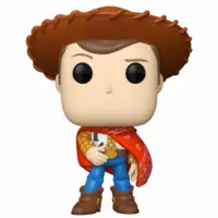 FUNKO Pop Woody Toy Story 5 Disney Pixar 1711