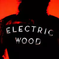 Electric Wood  ROOM 1015