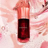 Dom Rosa  LIQUIDES IMAGINAIRES