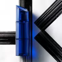 Pour Homme Intense