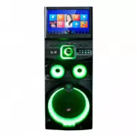 Altavoz LARRYHOUSE Serie Bayamon 12" 1.000W con 2 Microfonos con Pantalla