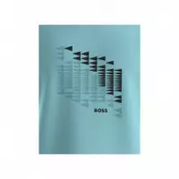 BOSS - TS_Network Flag (320974) - 483 - 50566853/483