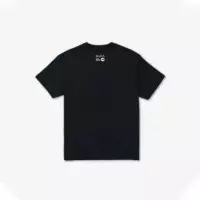 Camiseta Saberss RVCA
