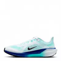 Zapatilla Pegasus 41 Road Run  NIKE