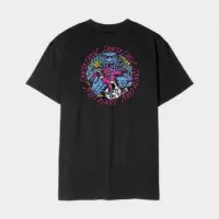 Camiseta SANTA CRUZ Roskopp Monster Strip