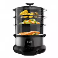 Vapovita 3000 Pro  CECOTEC